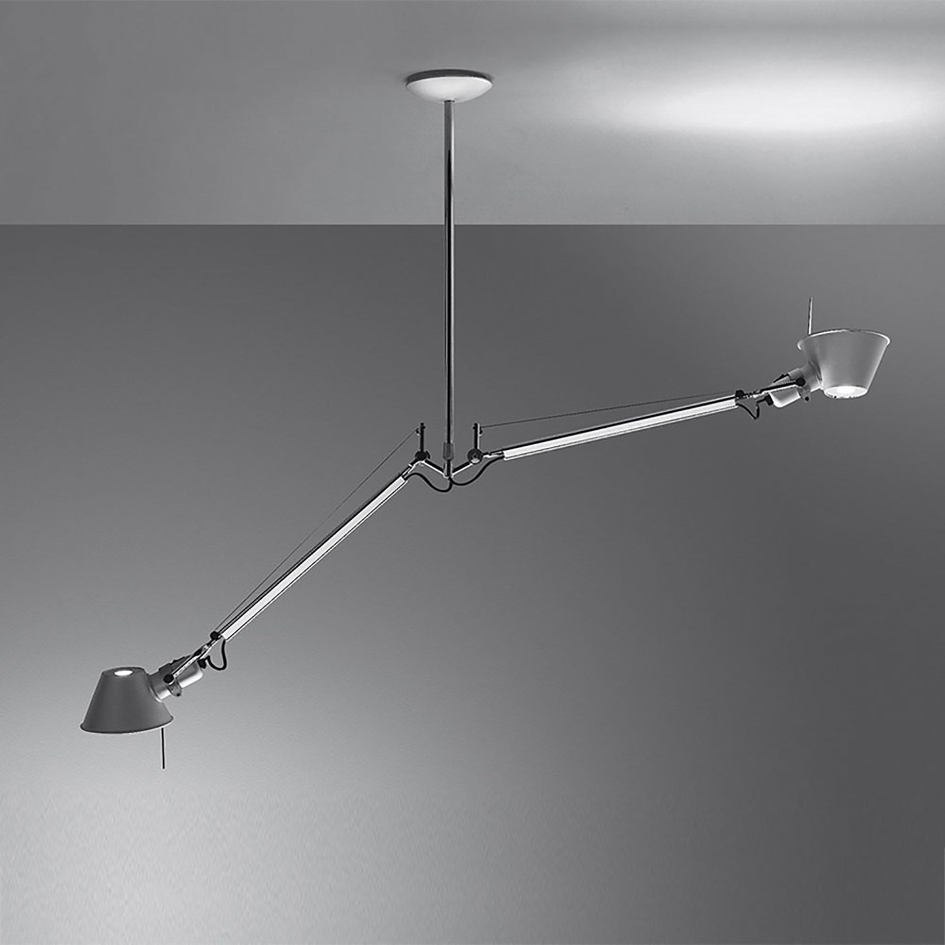 Tolomeo Double Suspension Light in Detail.