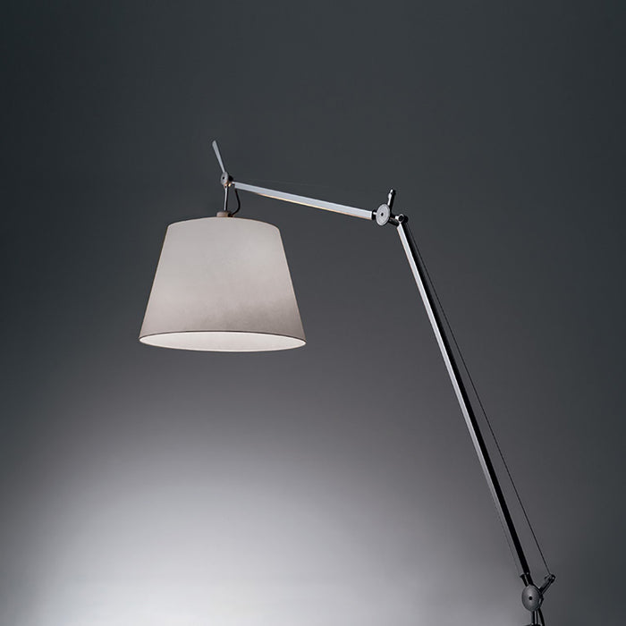 Tolomeo Mega Clamp Table Lamp in Detail.