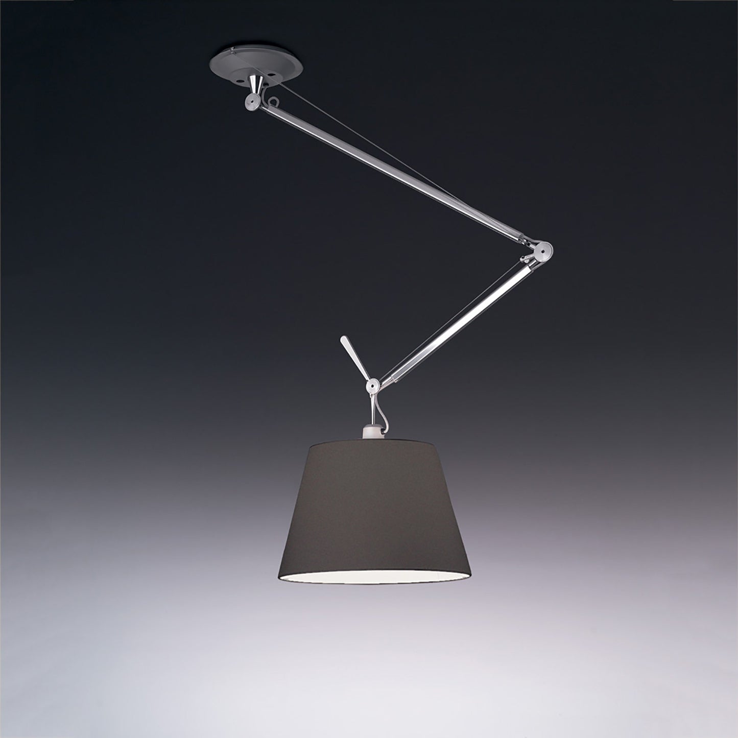 Tolomeo Off-Center Suspension Light in Black/XLarge.