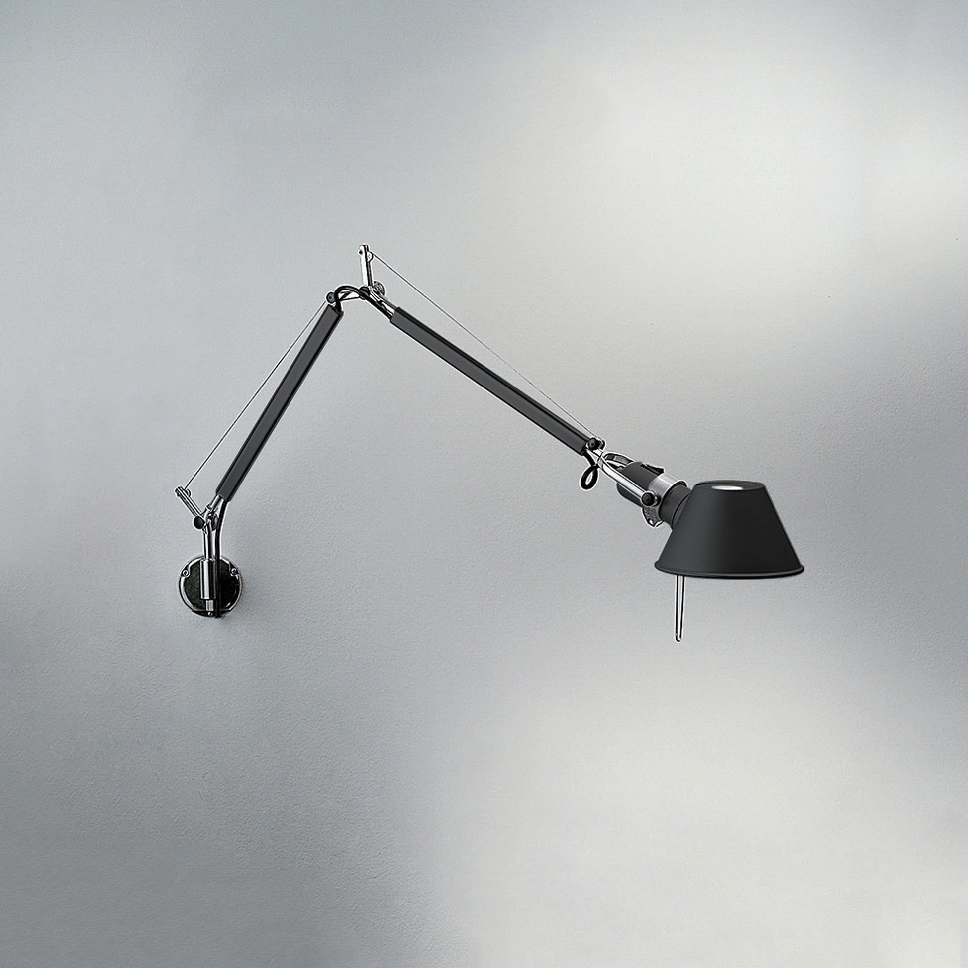 Tolomeo Wall Light in Detail.