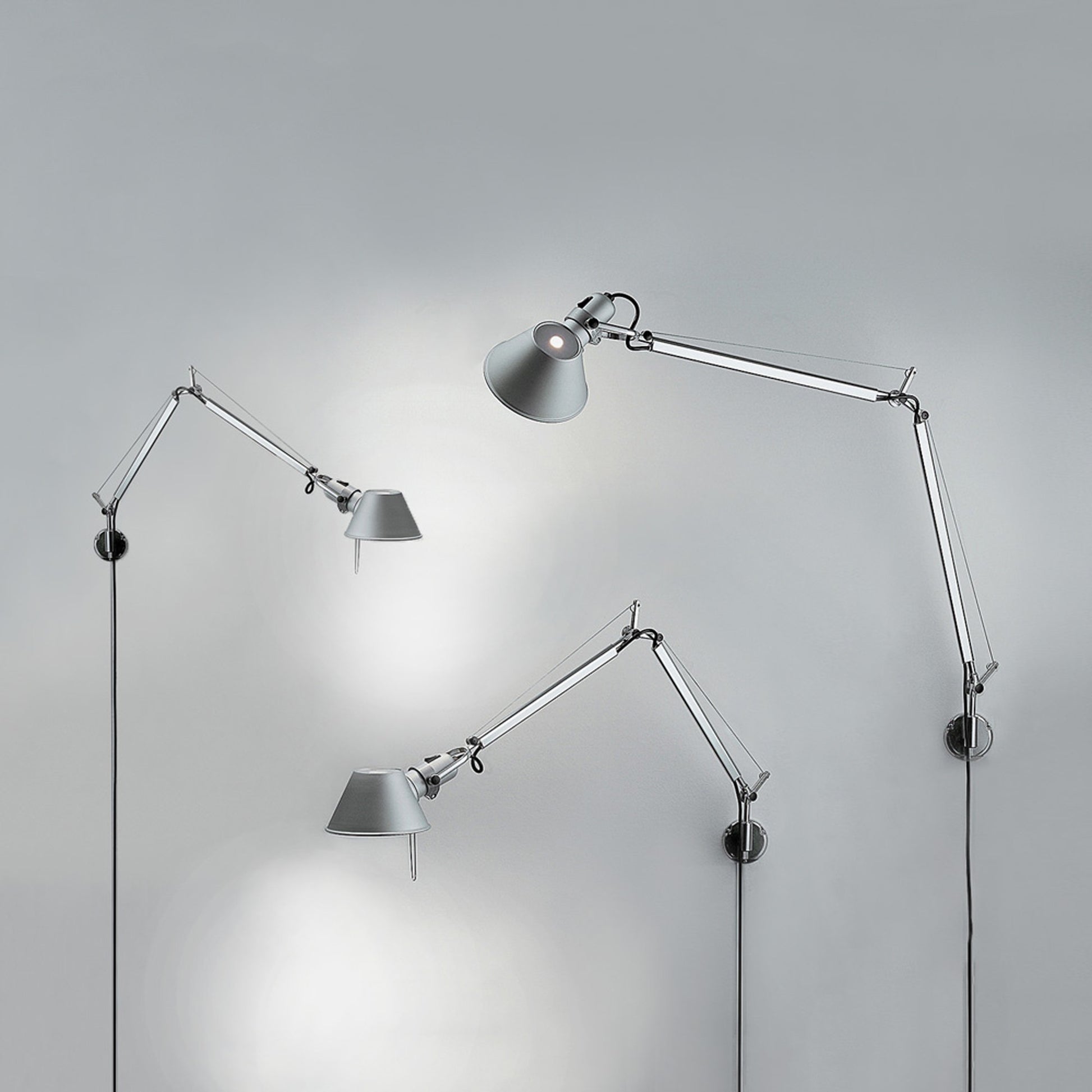 Tolomeo Wall Light in Detail.