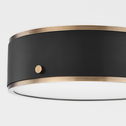 Eli Flush Mount LED Ceiling Light in Detail.