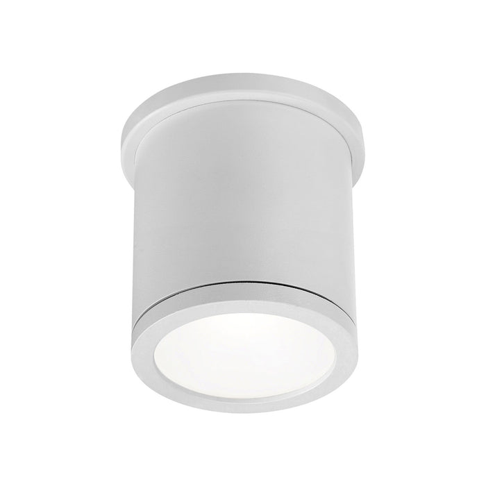 Tube LED Flush Mount Ceiling Light in White (Small).