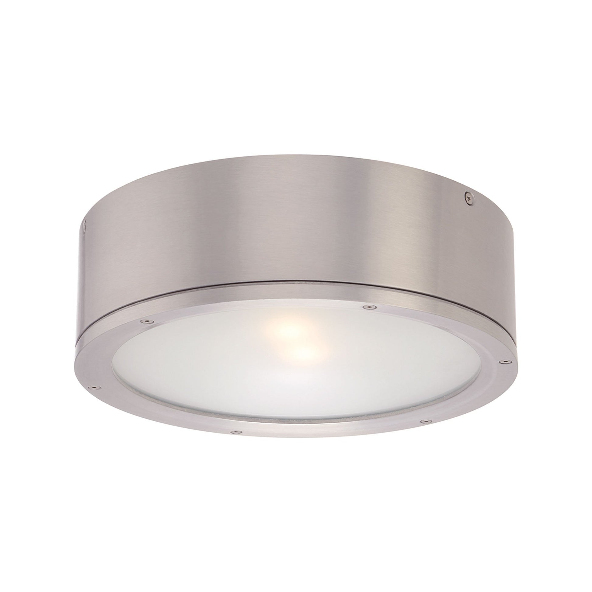 Tube LED Flush Mount Ceiling Light in Brushed Aluminum (Large).