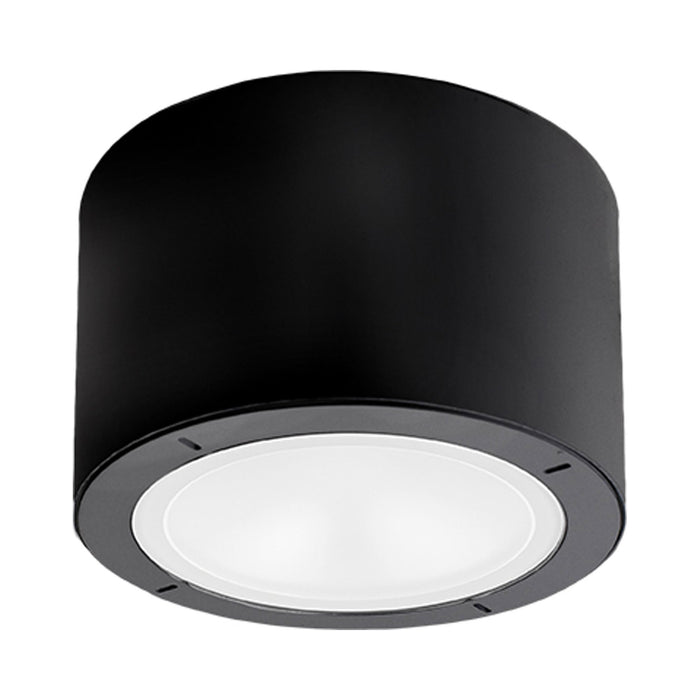 Vessel LED Flush Mount Ceiling Light in Black.