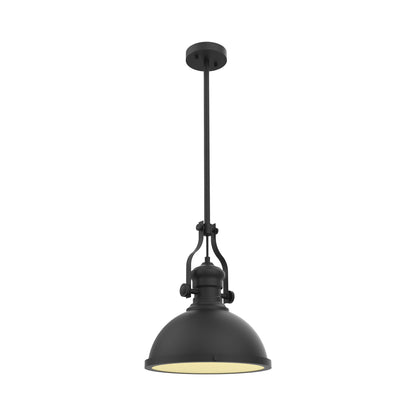 P1010 LED Pendant Light in Black.