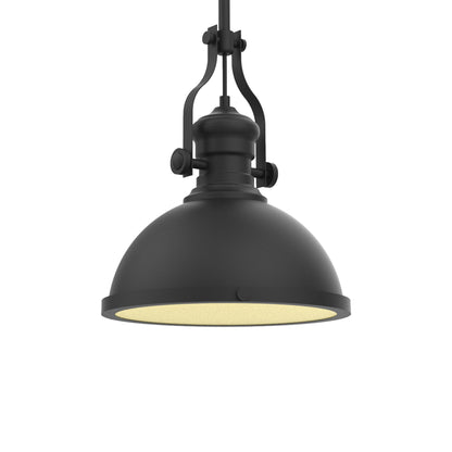 P1010 LED Pendant Light in Detail.