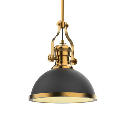 P1010 LED Pendant Light in Detail.