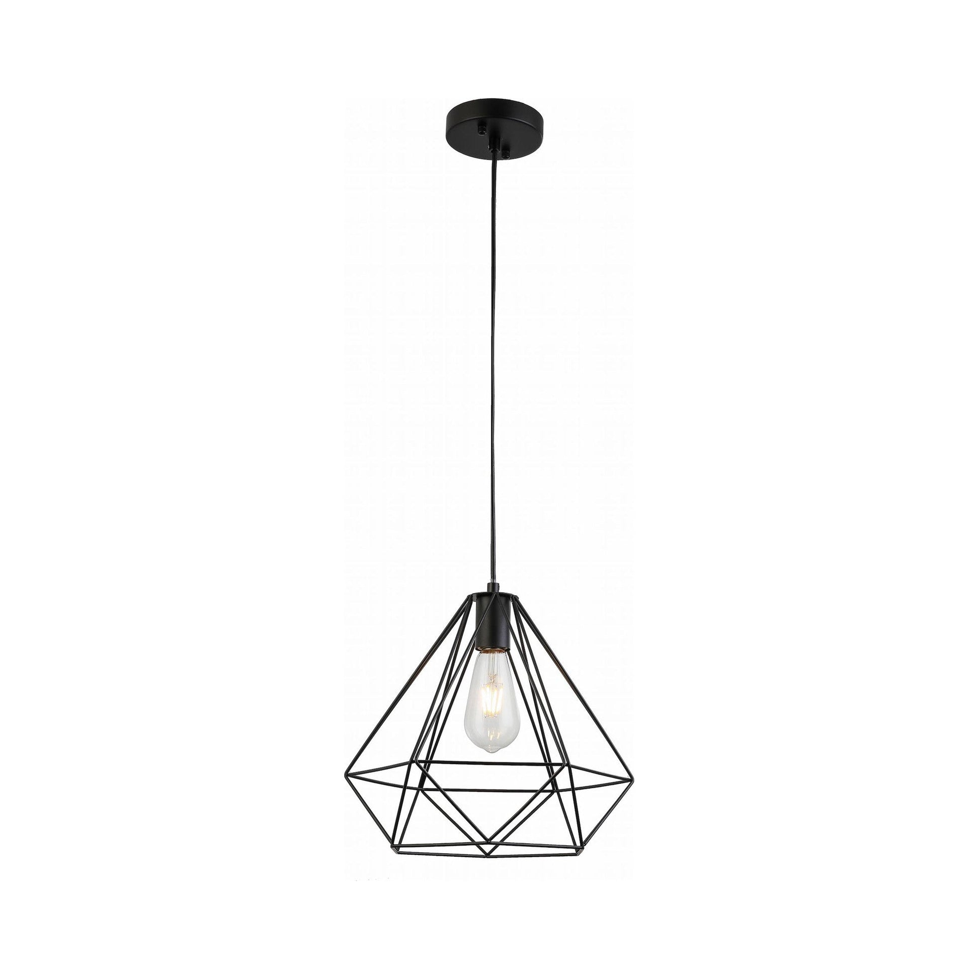 P1419 Pendant Light.