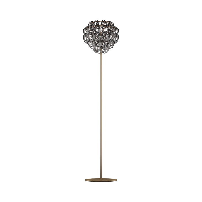 Giogali Floor Lamp in Matt Bronze/Crystal Black Nickel.