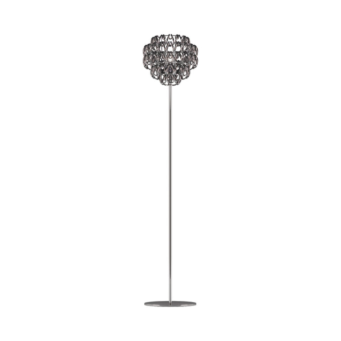 Minigiogali Floor Lamp in Crystal Black Nickel/Glossy Chrome.