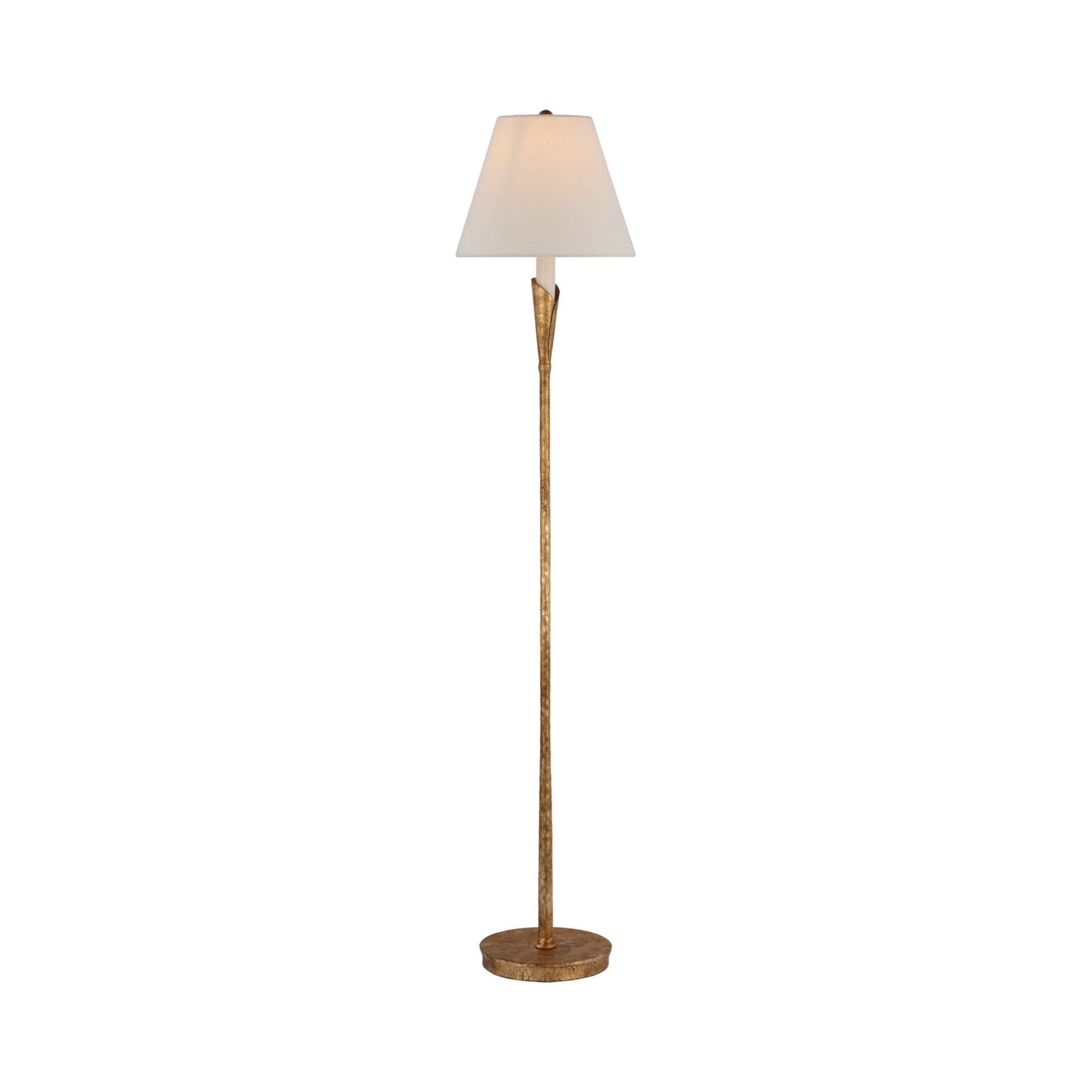Aiden Accent Floor Lamp in Gilded Iron.