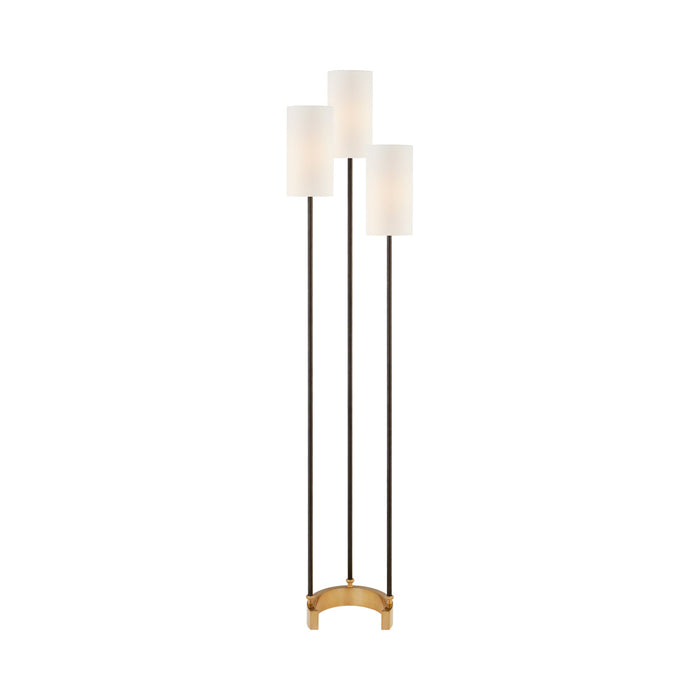 Aimee Floor Lamp in Bronze and Hand-Rubbed Antique Brass.