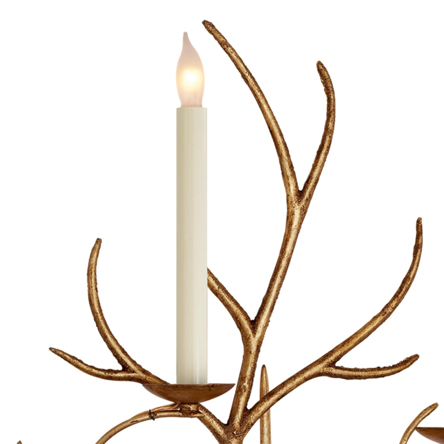 Branch Wall Light in Detail.