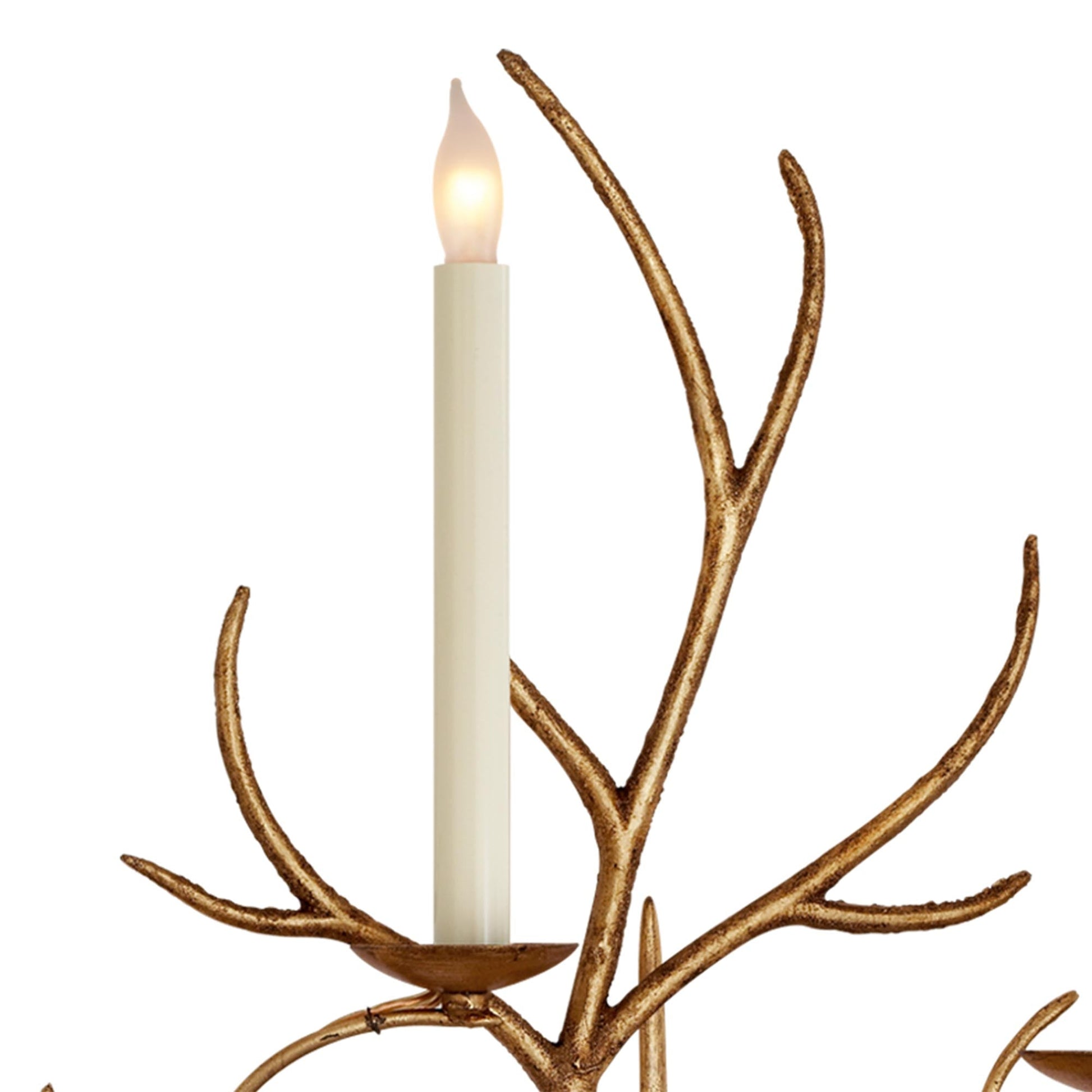 Branch Wall Light in Detail.