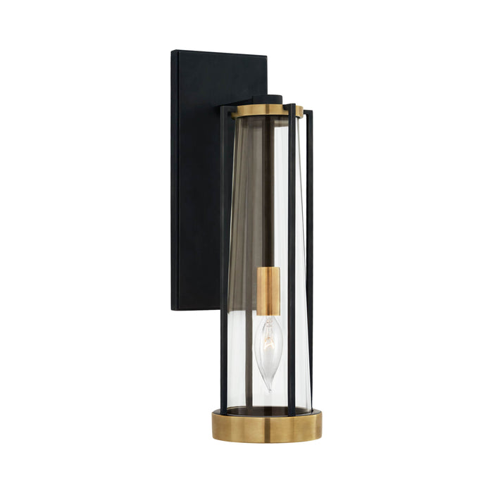 Calix Bath Wall Light in Bronze and Brass/Clear Glass.