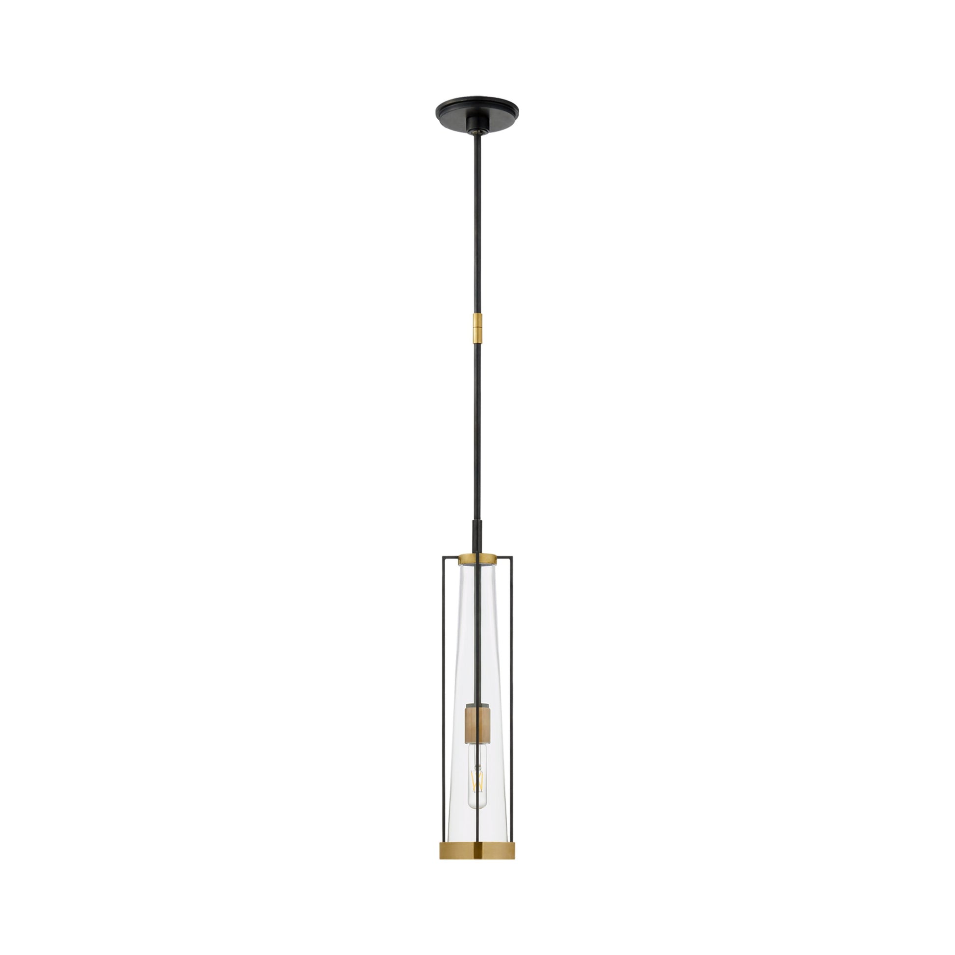 Calix Pendant Light in Bronze/Brass/Clear Glass (Large).