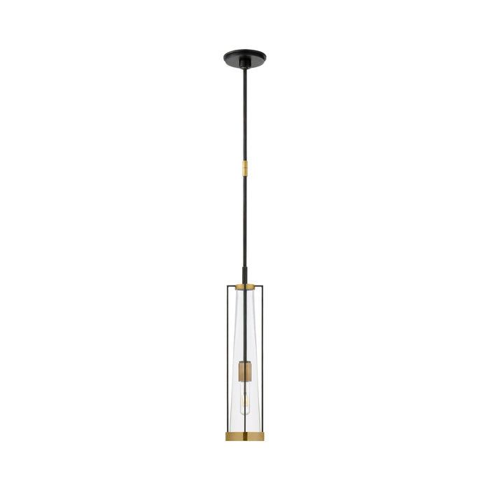 Calix Pendant Light in Bronze/Brass/Clear Glass (Large).