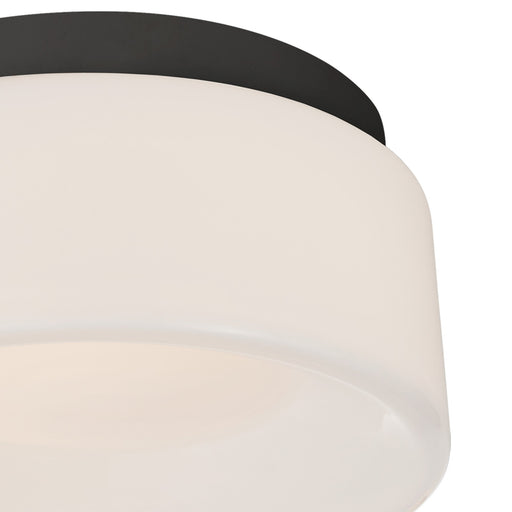 Halo Solitaire LED Flush Mount Ceiling Light in Detail.