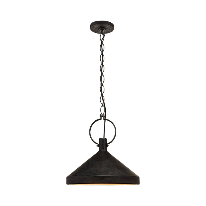 Limoges Pendant Light in Aged Iron (Large).