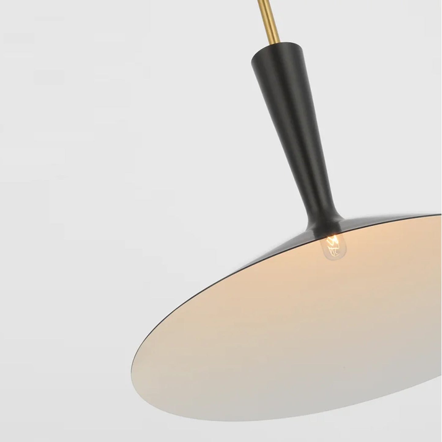 Rosetta Pendant Light in Detail.