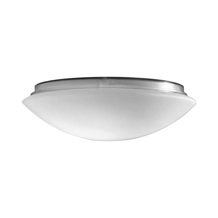Bis Ceiling/Wall Light (Large).