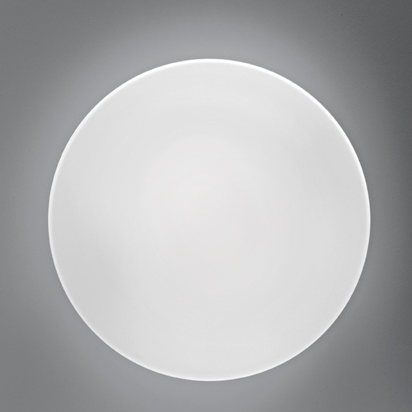 Bis Ceiling/Wall Light in Detail.