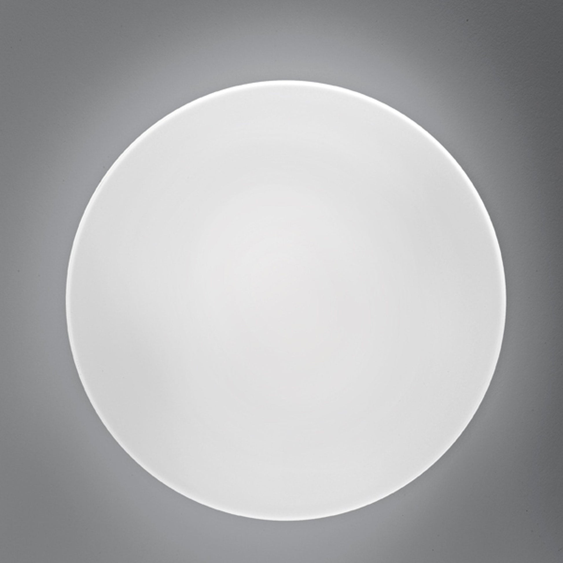 Bis Ceiling/Wall Light in Detail.