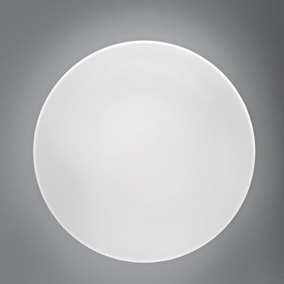 Bis Ceiling/Wall Light in Detail.