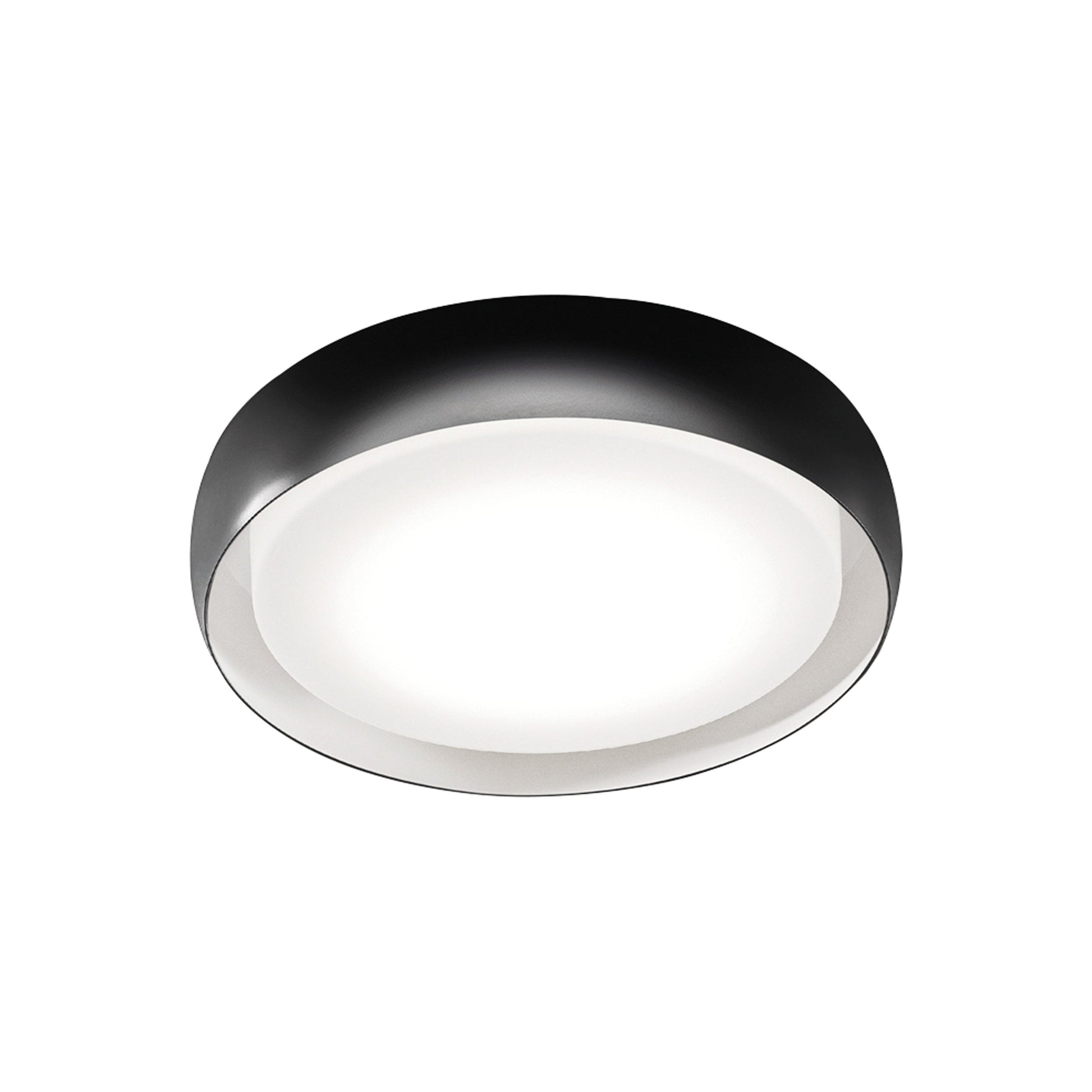 Treviso Ceiling / Wall Light.