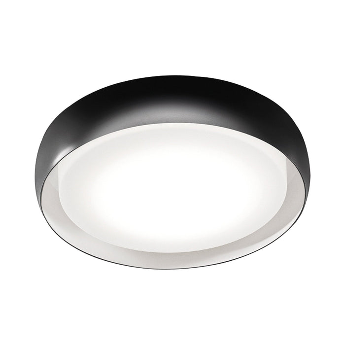 Treviso Ceiling / Wall Light in Black (X-Large).
